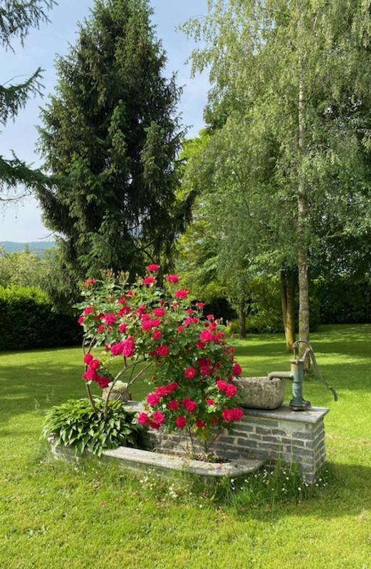 Giulia - Bisalta Apartment *